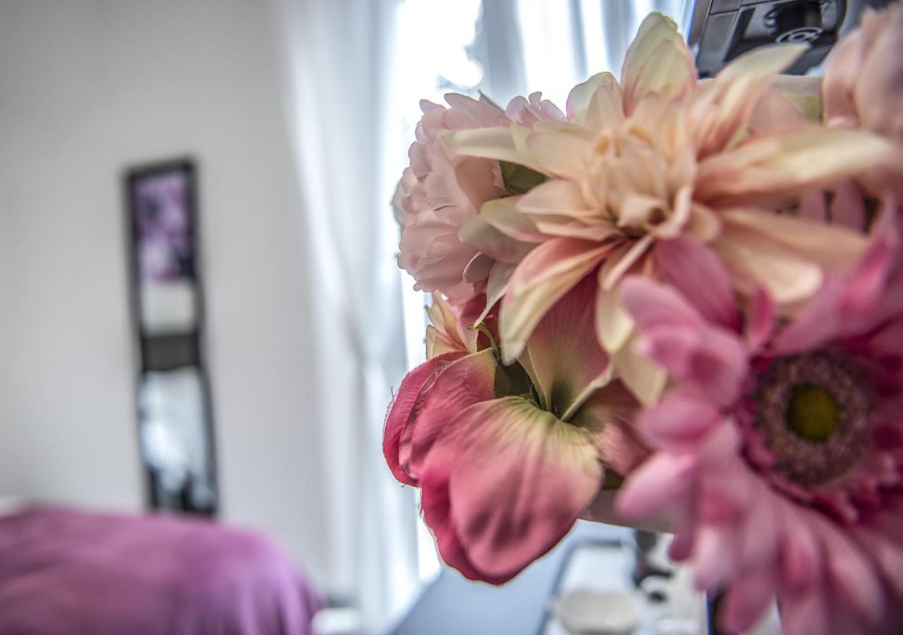 فندق Le Stanze Dei Fiori بولونيا المظهر الخارجي الصورة