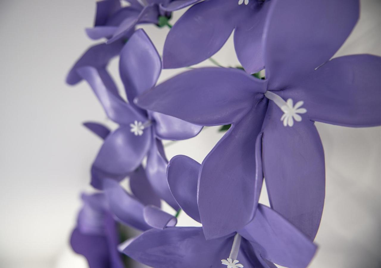 فندق Le Stanze Dei Fiori بولونيا المظهر الخارجي الصورة