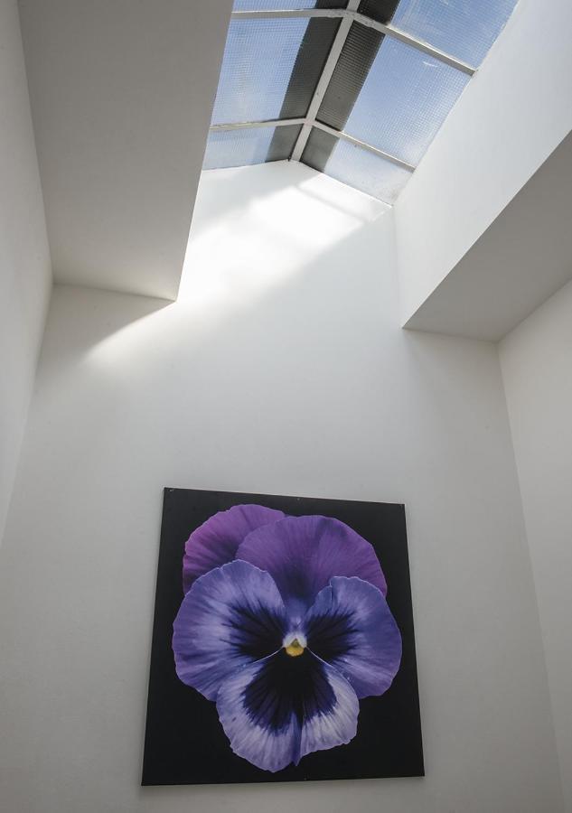 فندق Le Stanze Dei Fiori بولونيا المظهر الخارجي الصورة